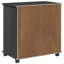 Solid Wood Rectangle Accent Cabinet-2088408624