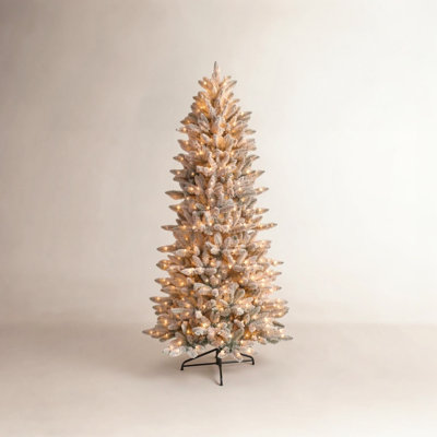 Lighted Christmas Tree
