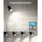 Araly Wallchiere
