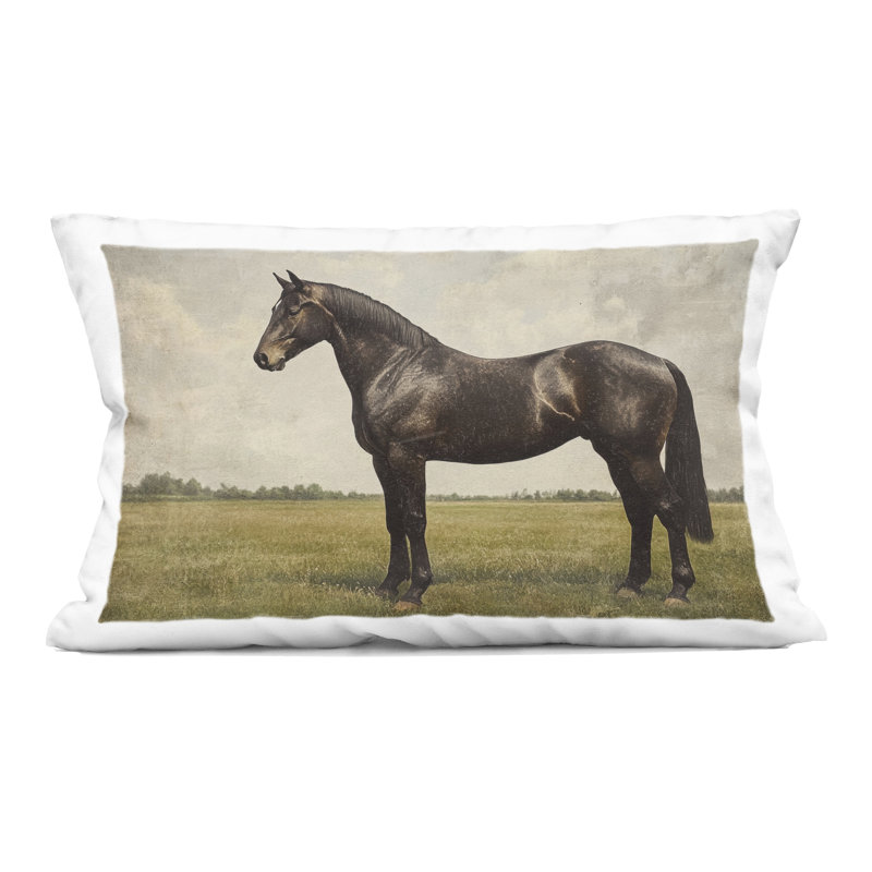 Coussin Espresso