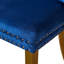 Chaises de salle à manger rembourrées en velours et oreilles capitonnées Traditional-761125030-768344949