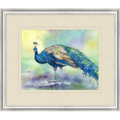 Peacock Reflections 2 Print
