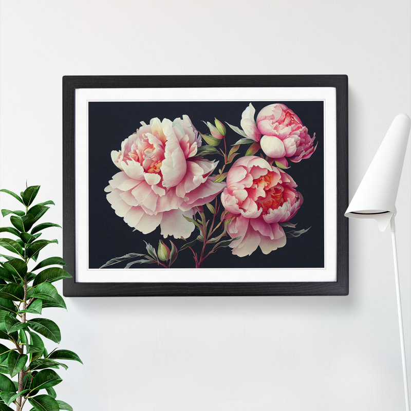 Watercolour Peony Flowers Vol.2 - Single Picture Frame Painting, Black, 25cm H x 34cm W x 2cm D