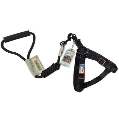 Harnais pour chien réfléchissant sans laisse avec laisse assortie, gilet de marche léger en nylon respirant pour petits chiens de taille moyenne
