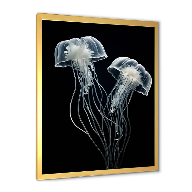 Impression sur toile «Black and White Jellyfish Luminous Drifters I» - Plage et océan, H 40 po x l 30 po x P 1,5 po