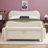 Sitarski Modern Curved Upholstered Bench With Storage-402217027
