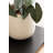 Jia Curved Round Indoor Planter Pot