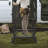 3 - Step Steel Small Step Ladder