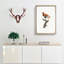 A King Bird Of Paradise by Jacques Barraband - Single Picture Frame Painting-55453507-55453503