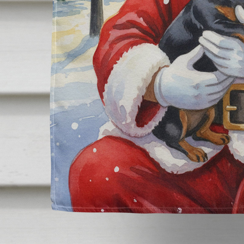Teckel noir et brun clair avec le drapeau de la maison du Père Noël, Taille de la maison, Teckel noir et brun clair