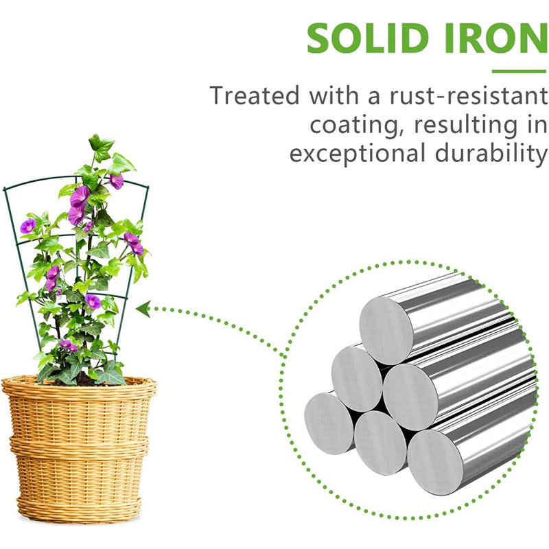 Paquet de 6 treillis pour plantes d'intérieur - 16 pouces, métal robuste pour ...