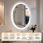 Oval LED Lighted Bathroom Mirror Backlit with Defog Memory Function -1967938280