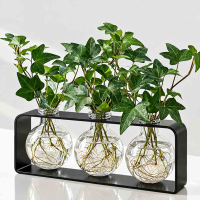 Blooms 3 piece Table Vase Set Clear
