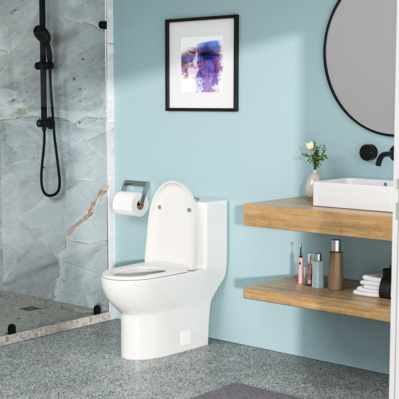 Toilette en céramique entièrement vitrée - prévient les bouchons et les odeurs