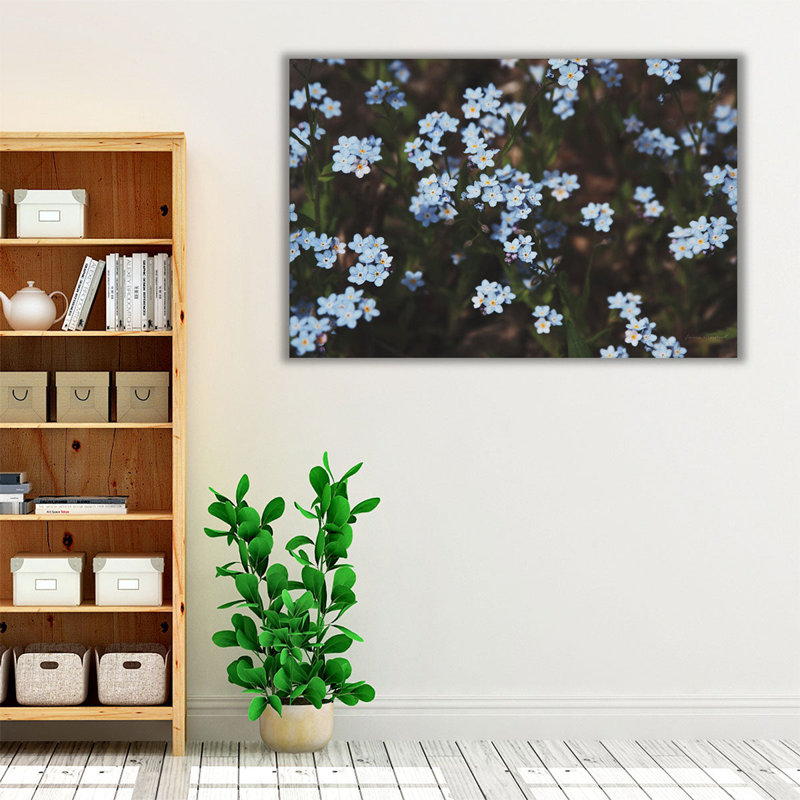 «Forget Me Nots I», reproduction d'art sur toile, H 16 po x l 24 po