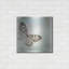 «Floating Butterfly IV» par Debra Van Swearingen-8471980