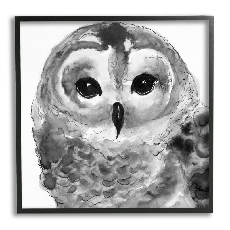 Tranquil Barn Owl, Giclée encadrée noir minuit, L 12 po x H 12 po