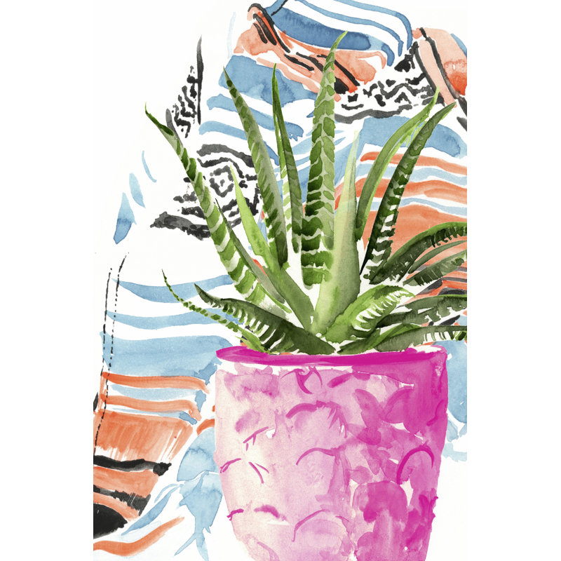Zebra Succulent I by Jennifer Paxton Parker - Wrapped Canvas Art Prints, 46cm H x 30cm W x 3.8cm D