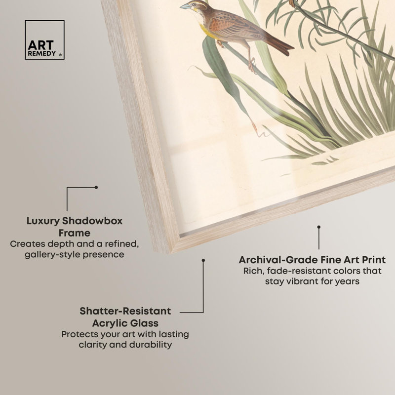 «Tallgrass pair shadowbox print», art botanique par Art Remedy, H 16 po x l 11 po, Crème, crème
