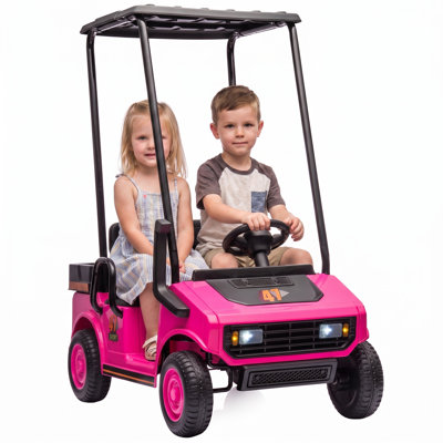 24V Kids Golf Cart, 2WD 2-Seater Electric Ride On Car with Remote Control, Soft Start, Rear Suspension, Sunshade Roof, Storage Trunk, Music, Headlights, Gift for Boys Girls 3-6 Years