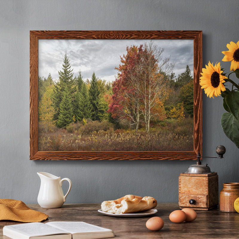 Woodland Variété, reproduction sur toile encadrée, Érable, H 18 po x l 26 po