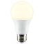 A19 DEL, ampoule, E26 / base moyenne (standard)
