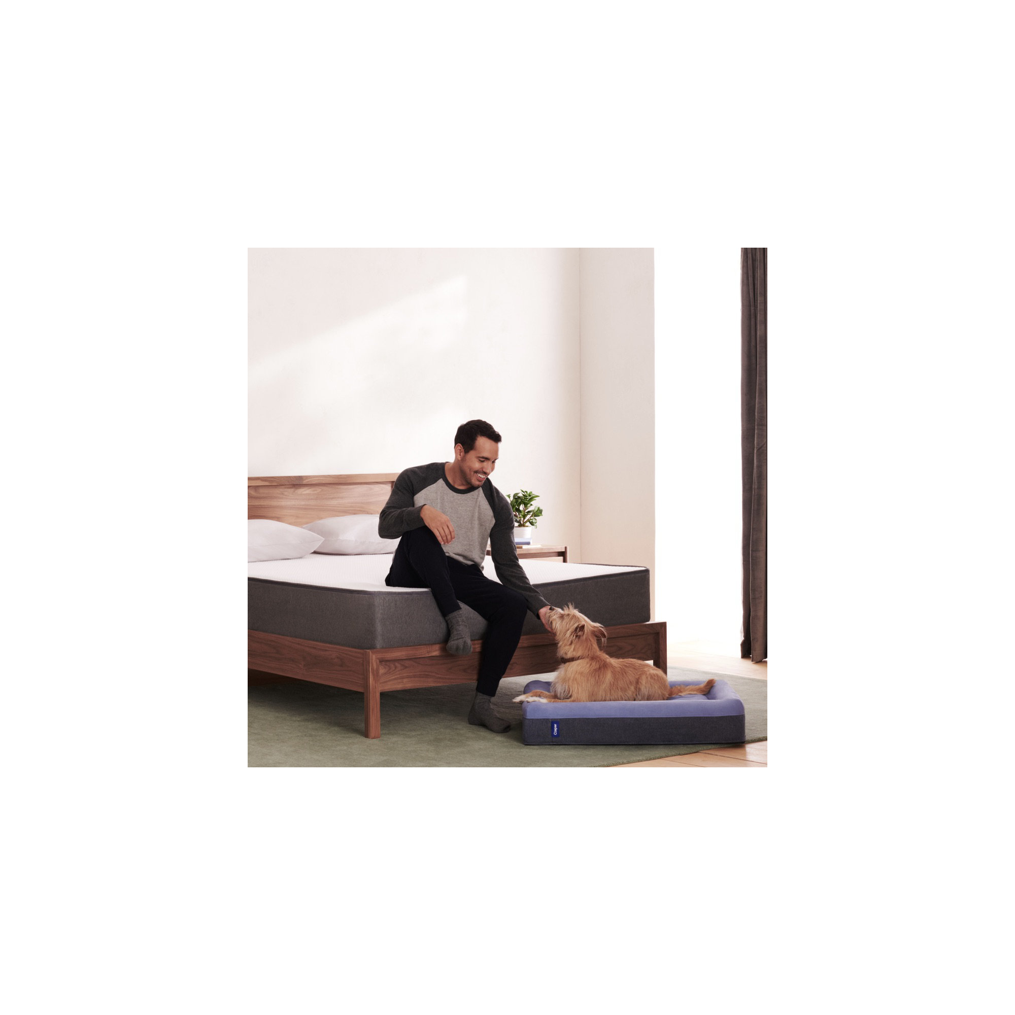 The Casper Dog Bed, Large (45" W x 35" D x 7"H), Blue