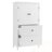 Bathroom Storage Cabinet With Two Doors, Two Drawers And Adjustable Shelf-439228211