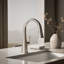 Graze Pull-Down Kitchen Sink Faucet with Three-Function Sprayhead-327697033