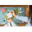 Colbourn Cork Corkboard / Bulletin Board