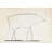 Bull (plate XI)