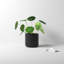 Parsons Handmade Ceramic Pot Planter-1890616693