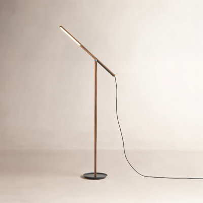 Dris 54'' Dimmable LED Floor Lamp
