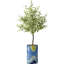 45 po olivier artificiel en pot-1218956163