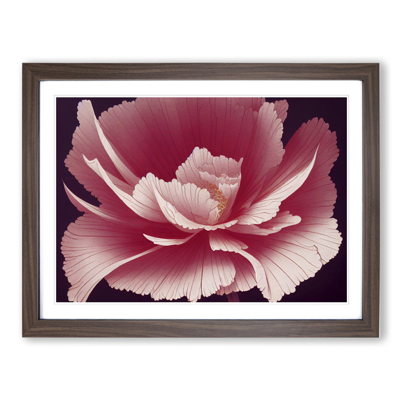 Animated Carnation Flower - Single Picture Frame Print, 46cm H x 64cm W, Brown