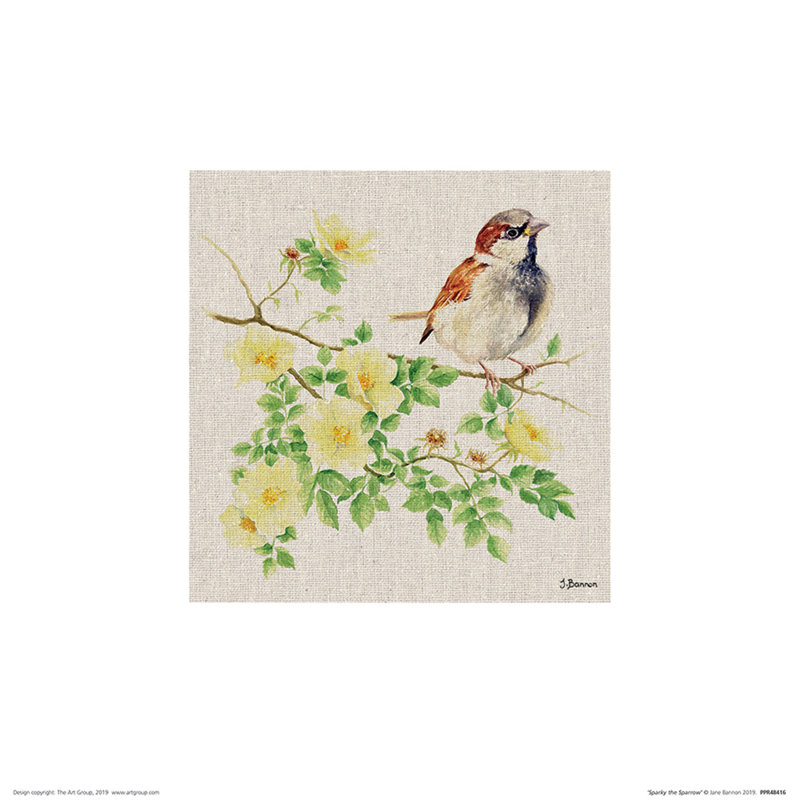Sparky The Sparrow by Jane Bannon - No Frame Painting