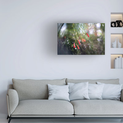 Suzanne Bonin Firecrackers Canvas Art