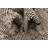 Oliver Black and White Rug
