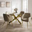 TARA DINING CHAIR (2 PER PACK)-640129285-640129286