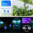 Solar Lights Outdoor Blue Solar Torch Flame Lights for Garden Decor, Solar Landscape Lights Decorative for Lawn Yard Pathway