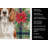 Welsh Springer Spaniel Christmas PoinsettIas Kitchen Towel-2080583774