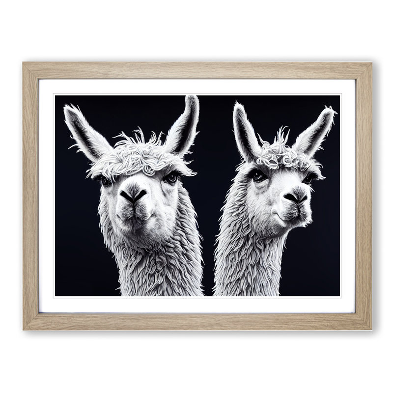 Two Llamas Vol.3 - Single Picture Frame Print, 34cm H x 46cm W x 2cm D, Oak