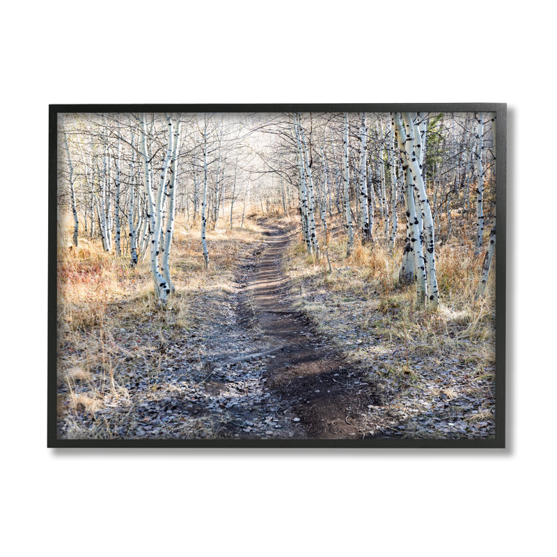 Chemin de terre entre un bouleau et une forêt, scène de giclée, art texturé par Steve Smith, Giclée encadrée noir minuit