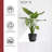 Ecopots Oslo Indoor/Outdoor Modern Recycled Plastic Flower Pot Planter-80209419-80209423