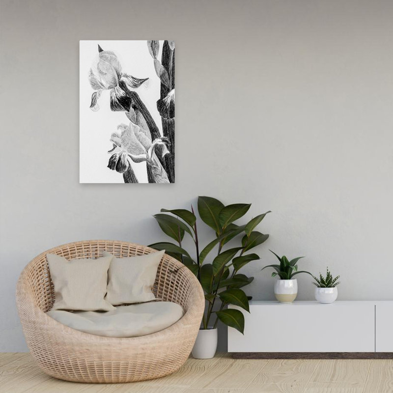 Minimalist Illustrated Iris II, 24" H x 16" W