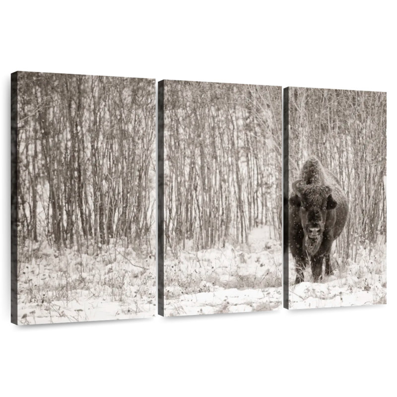 Brampt Bison In Winter Forest, 24" H x 38" W