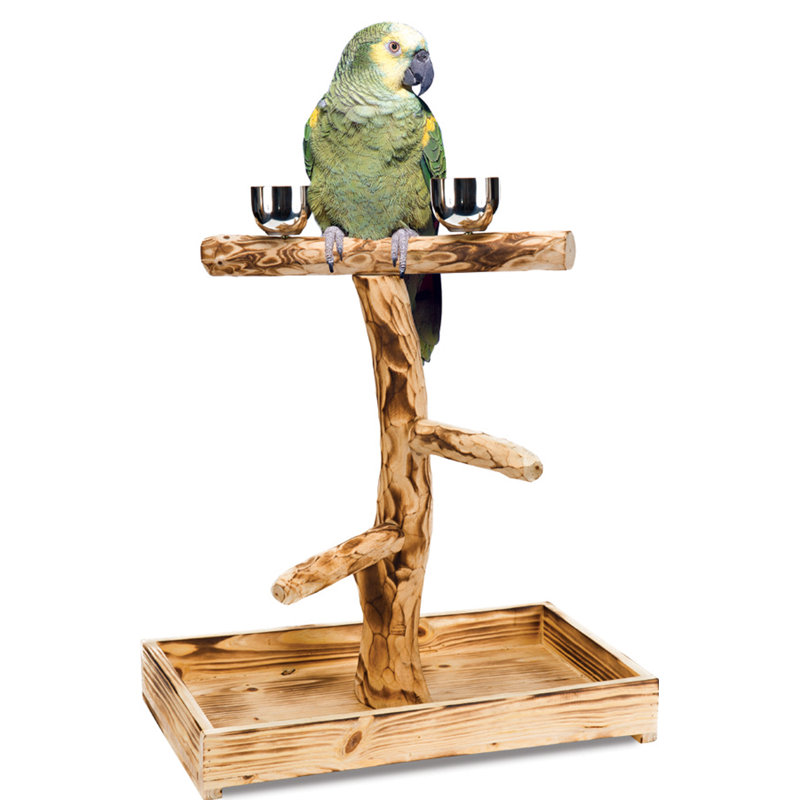 Perchoir en bois Ernest pour petits et moyens oiseaux - Comprend des bols d'eau et de nourriture - Moyen