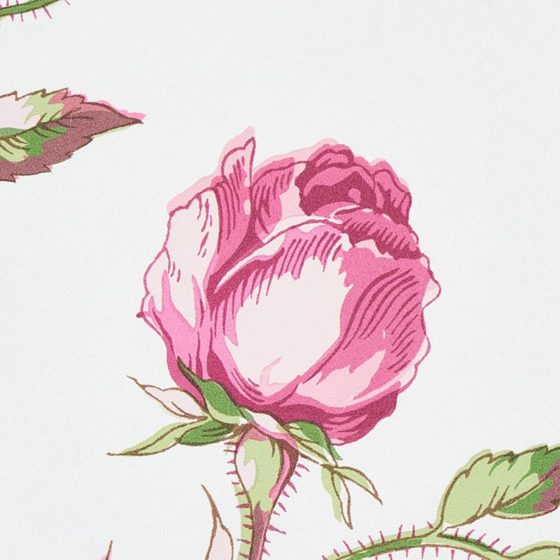 Beluze Wallpaper, Magenta