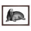 Walrus in Black & White by George Shaw - Picture Frame Drawing Print-55605475-55605476