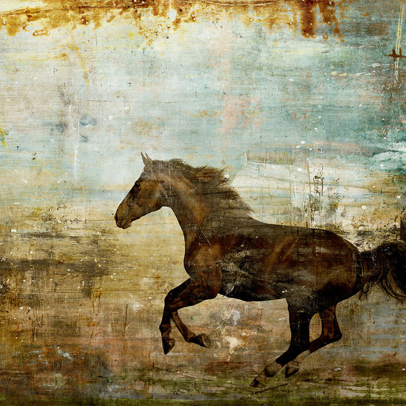 Prairie II Print by Chelsea Art Studio, 40" H x 40" W x 1.5" D, Outdoor